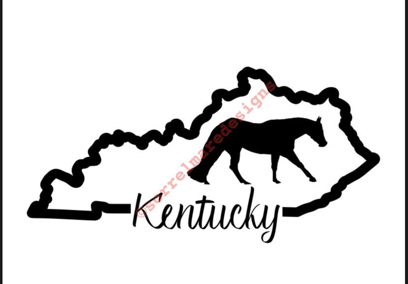 Kentucky SVG Horse SVG Kentucky Horse craft Quarter Horse | Etsy