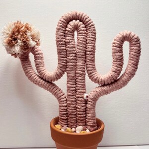 Valentine’s Day Macrame Cactus