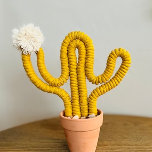Sunset yellow macrame cactus inside terracotta pot