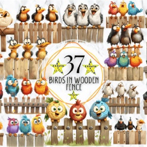 PÁJAROS DIVERTIDOS en paquete de imágenes prediseñadas de valla de madera, paquete de png de pájaros lindos divertidos, imágenes prediseñadas de pájaros de acuarela png, png de sublimación de pájaros divertidos.