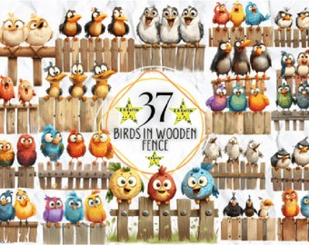 FUNNY BIRDS In Wooden Fence Clipart Bundle, Funny Cute Bird Png Bundle, Watercolor Birds Clipart Png, Funny Birds Sublimation Png.