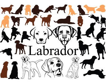 38 CHIEN LABRADOR - ENSEMBLE | Téléchargement numérique | Labrador Dog Svg, Labrador Dog Png, Labrador Dog, Labrador Vector Animal Png