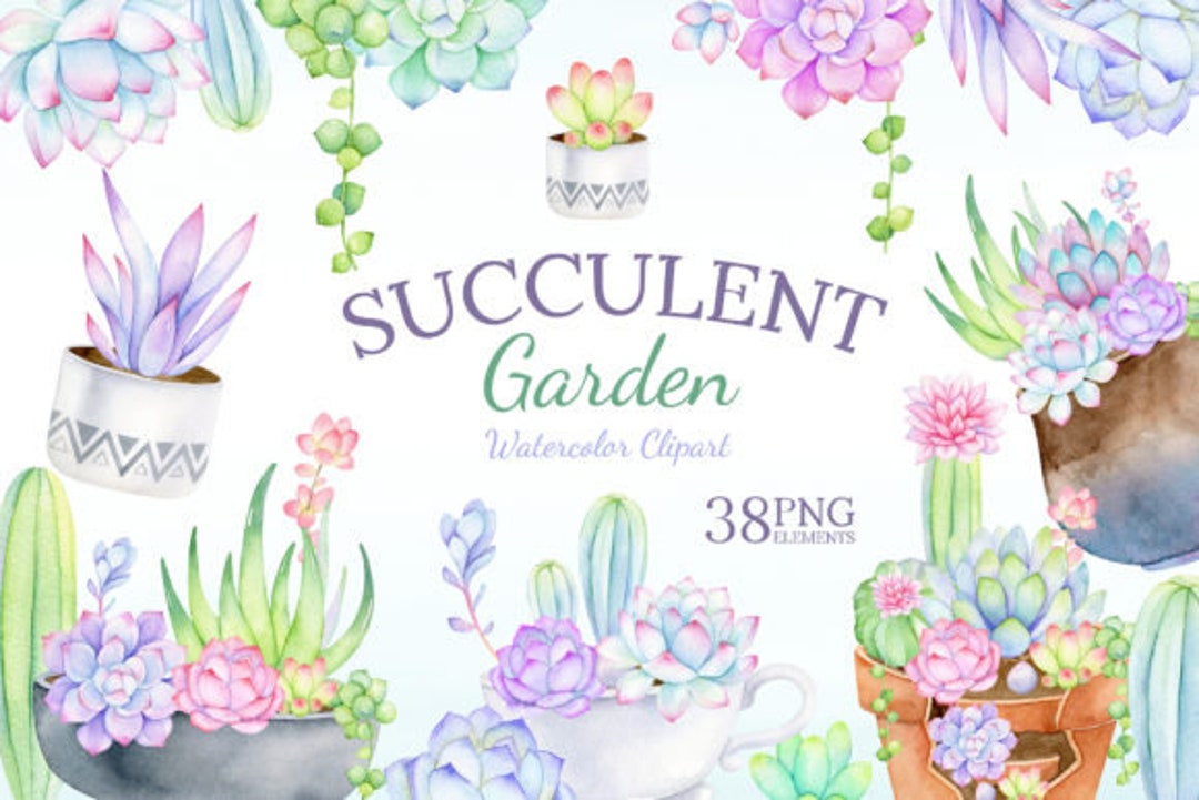 Succulents Watercolor Clipart Set - 38 PNG Watercolor Succulent, High ...