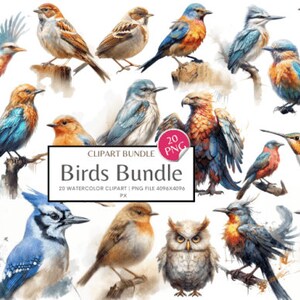 Watercolor Bird Clip Art, 22 Pcs, For Invitations, Scrapbooks, Weddings, Crafts, Paper Projects, Bird Clipart, Bird PNG