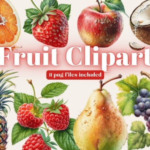 Fruits Clipart | Fruits Bundle | Commercial Use | High Quality Transparent Pngs | High-Resolution Images | Fruits Png | Fruit Clip Art
