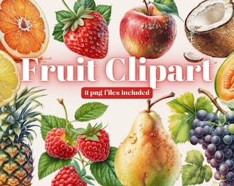 Fruits Clipart, Food Clipart PNG Bundle, 24 PNG Fruits Clipart Bundle ...