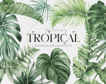 Aquarelle Tropical Leaves Clipart, feuille tropicale PNG clip art graphiques téléchargement instantané pour un usage commercial, 10 fichiers PNG, haute qualité.