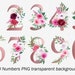 Floral Alphabet A - Z Clipart,floral Letters Png,watercolor Alphabet ...