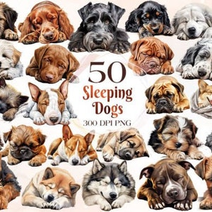 Clipart acquerello cani, download digitale, clipart per uso commerciale, clipart asilo nido, pacchetto PNG trasparente di 50 immagini, baby shower, assonnato