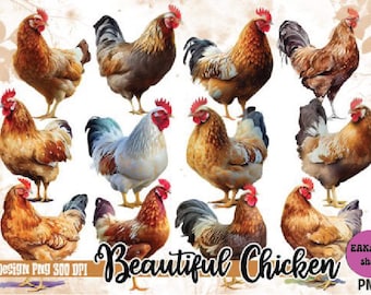 Watercolor Chicken Clipart - cute chickens png bundle, Farm animal PNG format, chicken sublimation, instant download for commercial use