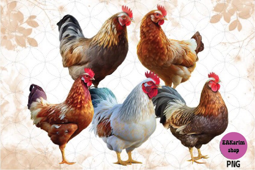 Watercolor Chicken Clipart - Cute Chickens Png Bundle, Farm Animal PNG ...