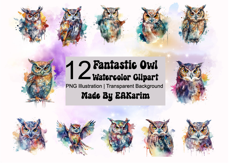 WATERCOLOR OWL 12pc PNG Bundle | Watercolor Owl Png | Owl Art | Owl Commercial Use | Cute Owls | Owl