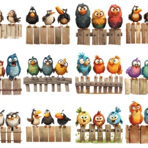 FUNNY BIRDS In Wooden Fence Clipart Bundle, Funny Cute Bird Png Bundle, Watercolor Birds Clipart Png, Funny Birds Sublimation Png. image 4