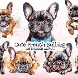 Clipart de buldogue francês em aquarela, pacote de buldogue francês, sublimação PNG, buldogue francês PNG, pacote SVG de buldogue, cachorrinhos franceses fofos