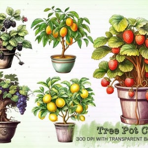 Może przedstawiać: Pięć roślin doniczkowych z różnymi owocami i jagodami. Rośliny znajdują się w doniczkach w różnych kolorach i są umieszczone na jasnozielonym tle. Tekst "Tree Pot Clipart 300 DPI with Transparent Background" znajduje się na dole obrazu.