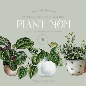 Watercolor House Plants Clipart - Watercolor Greenery and Foliage - Instant Download - Philadendrum - Potted Plants - Fern - Snake Plant