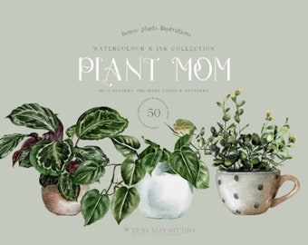 Watercolor House Plants Clipart - Watercolor Greenery and Foliage - Instant Download - Philadendrum - Potted Plants - Fern - Snake Plant
