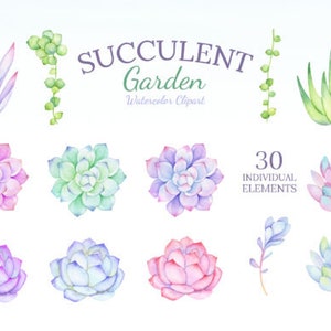 Succulents Watercolor Clipart Set - 38 PNG Watercolor Succulent, High ...