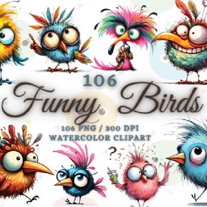 Paquete de imágenes prediseñadas de AVES DIVERTIDAS, paquete de png de pájaros lindos divertidos, imágenes prediseñadas de pájaros de acuarela png, sublimación de pájaros divertidos png, animales divertidos png
