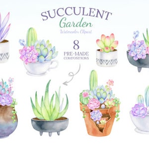 Succulents Watercolor Clipart Set - 38 PNG Watercolor Succulent, High ...