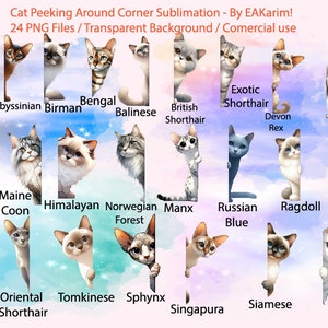 May include: A digital illustration of 24 different cat breeds peeking around corners. Each cat is depicted in a cartoon style with a colorful background.