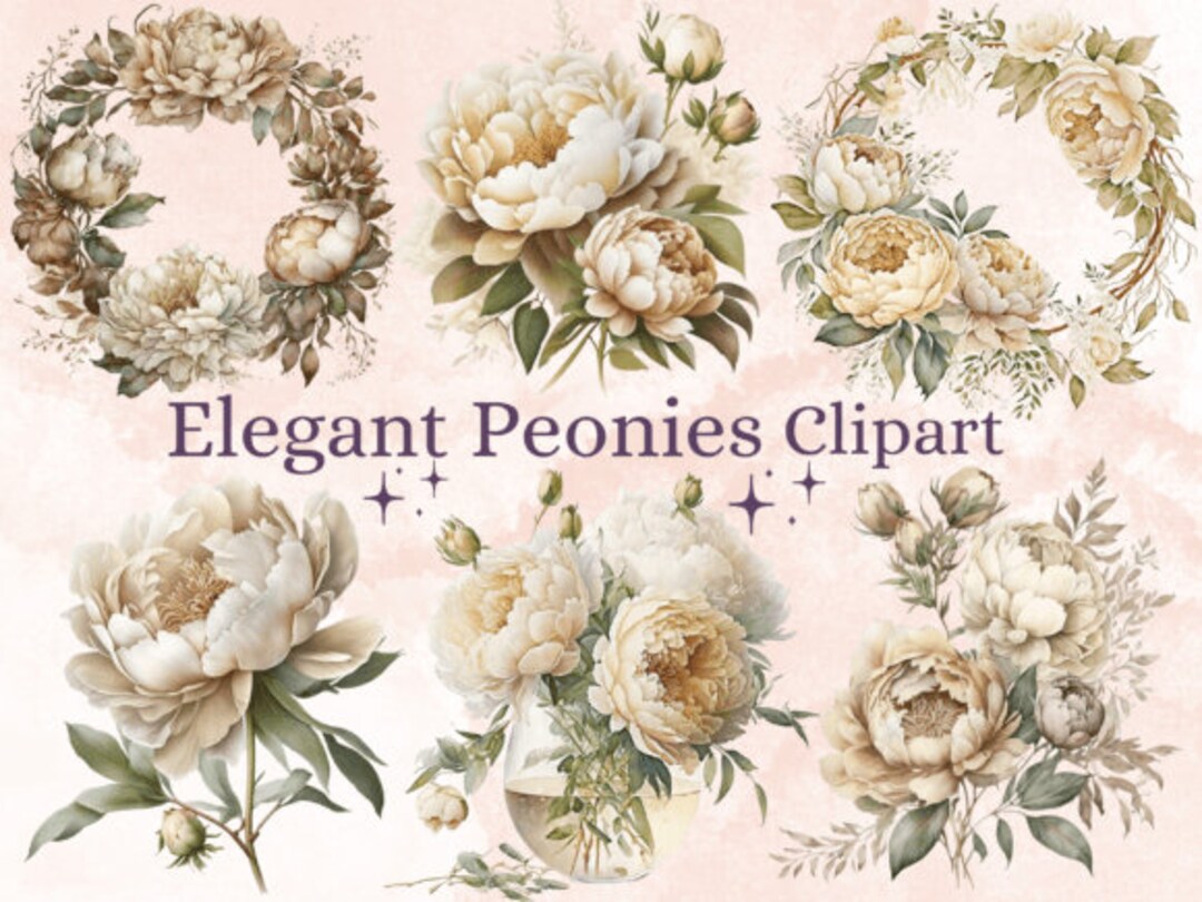 White Peonies Watercolor Clipart Bundle - PNG Peony Images, Beautiful ...