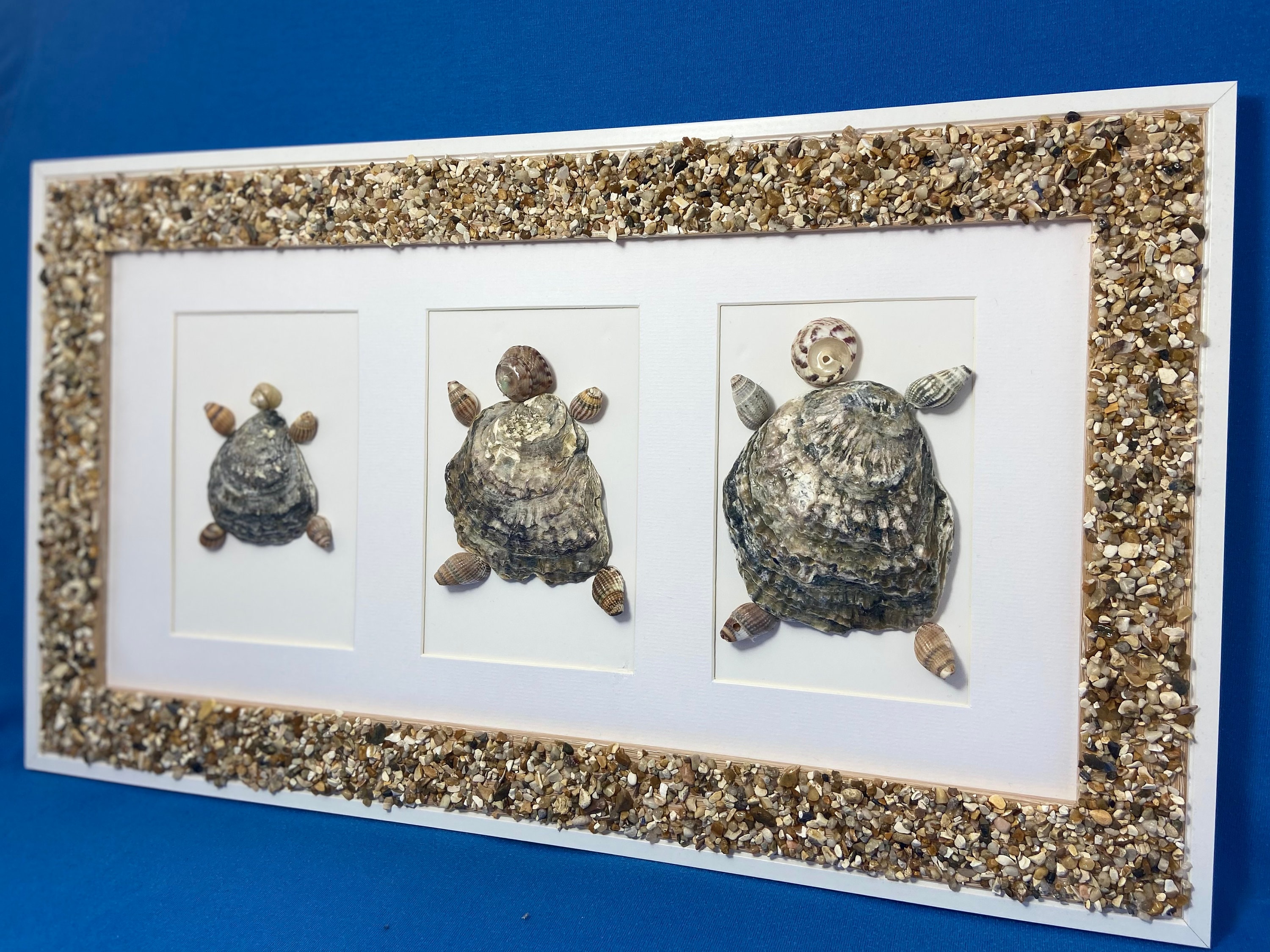 Schildkröten Meerglas Vitrine - Holz Aufbewahrungsbox Für Strandfunde