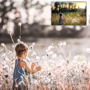 May include: A young girl in a blue dress walks through a field of white wildflowers. The sun shines through the flowers, creating a soft, dreamy effect. The image is a before and after comparison, showing the difference in the lighting and colour.