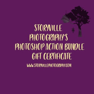May include: A purple background with a silhouette of a tree and a person on a swing. The text "Storyville Photography's Photoshop Action Bundle Gift Certificate" is in yellow and the website address "www.storyvillephotography.com" is in white.