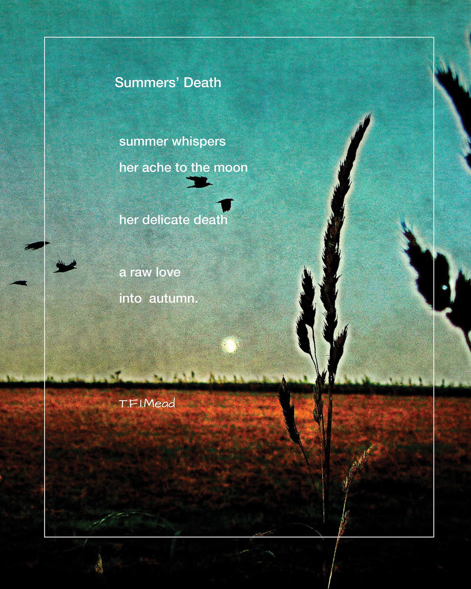 June Summers Death: Her Legacy Of Inspiration - aheoam0