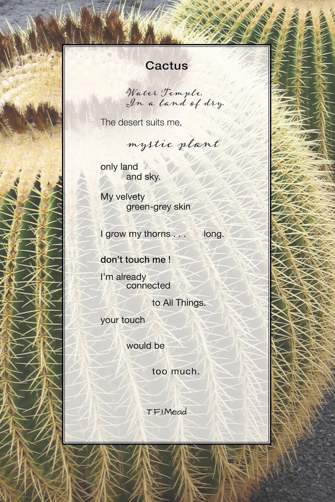 Cactus Poem Poetry Inspiration Printable Wall Art Etsy