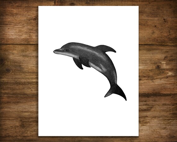 Dolphin Art Print Dibujo de delfines Obras de arte de - Etsy España