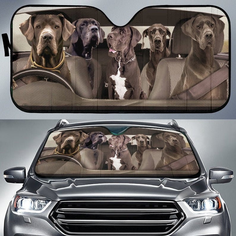 Große Dänen Hunde 4 Auto Sonnenschutz Hund Design Auto Etsy