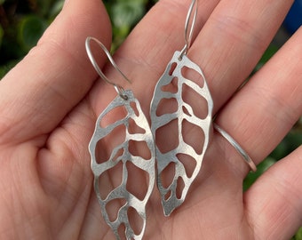 Monstera Obliqua | Leaf Earrings | Sterling Silver | Rare Plant Jewelry