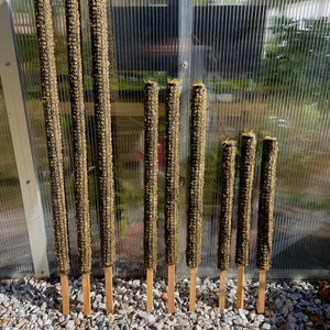 Moss pole ~ Totem ~ plant support for climbing plants ~ Custom sizes available