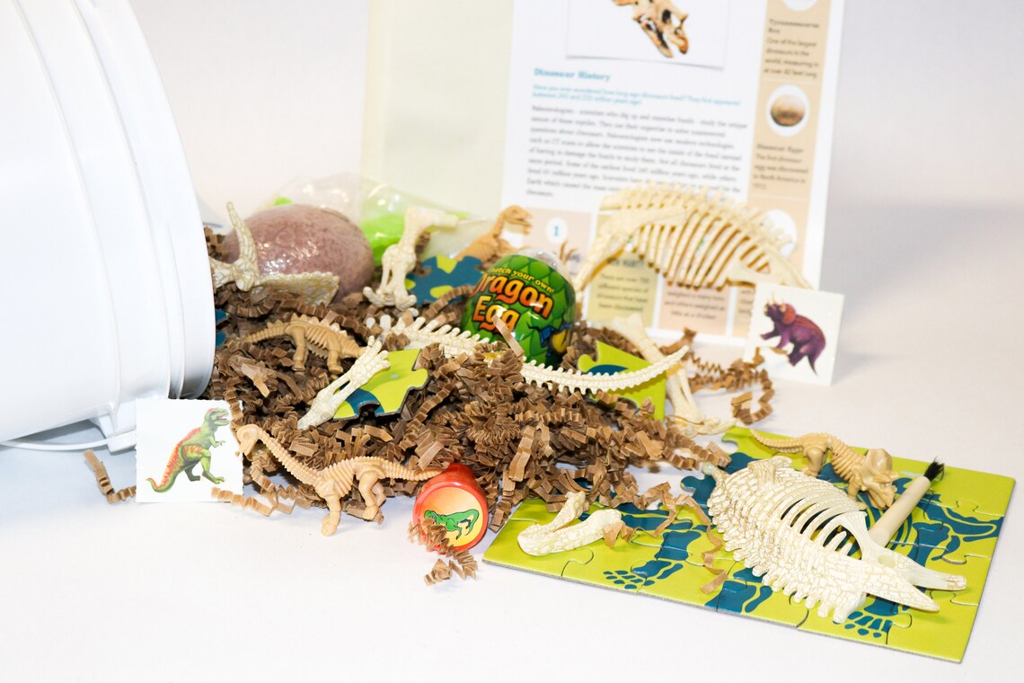 Dino Digs Gallone Eimer Schatzsuche Kit begraben Schatz - Etsy.de