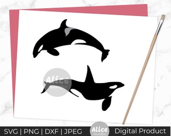 Orca SVG, DXF/PNG/jpeg, Cute Orca Silhouette, Orca Design Svg, Animal Clip Art