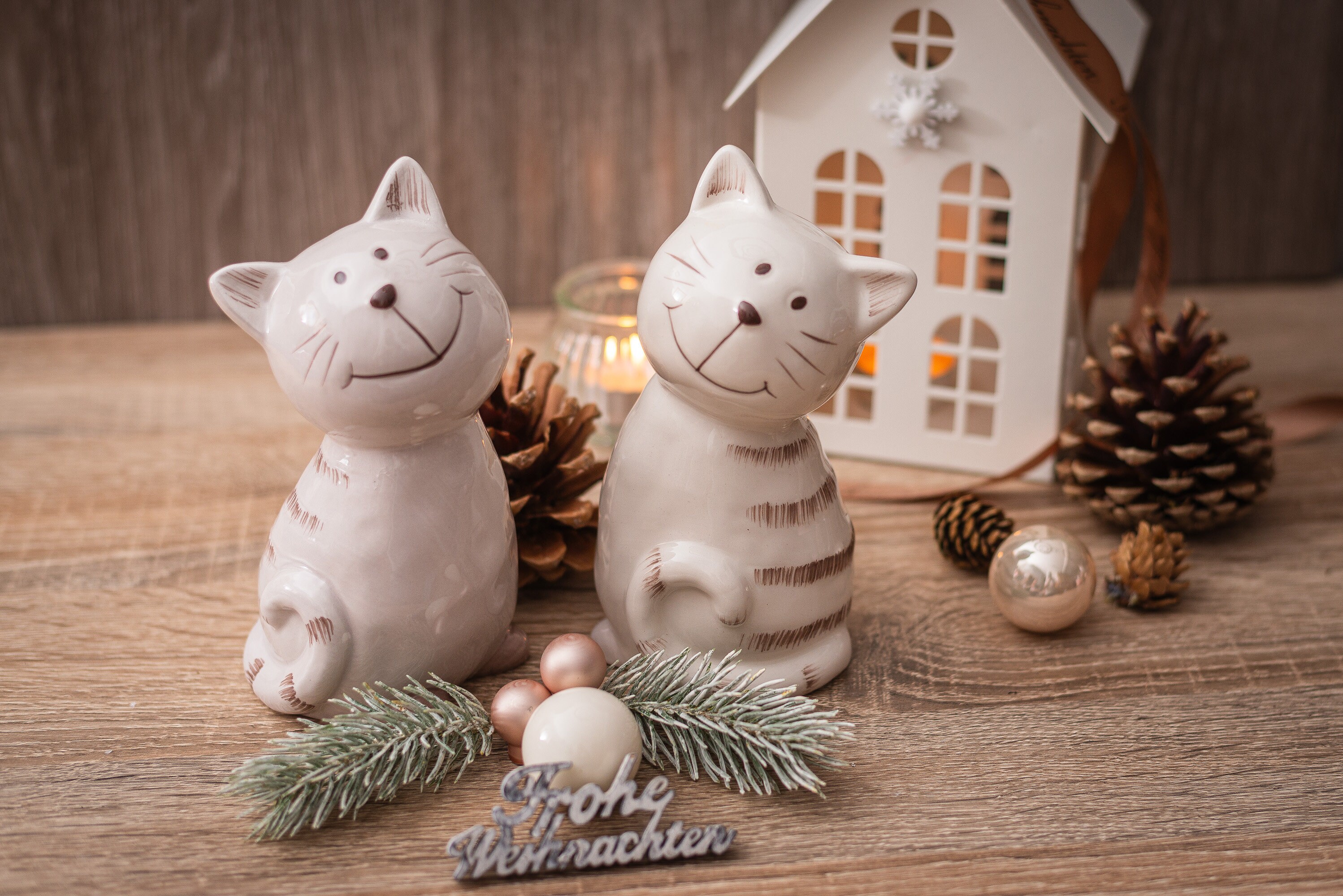 Coffret chat cadeau Noël RIGA