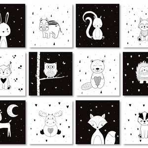 Schede di contrasto per bambini, Schede sensoriali per bambini, Schede ad alto contrasto, Schede per neonati in bianco e nero, Schede per neonati, Schede flash per bambini