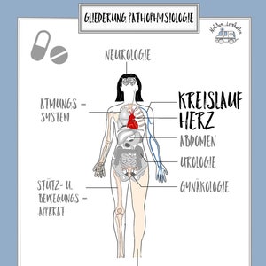 Herz - Kreislauf - Erkrankungen, Lernkarten-Set (DIN A4)