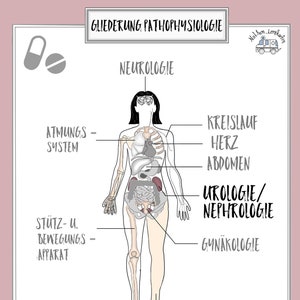 urological diseases, flashcard set (DIN A4)