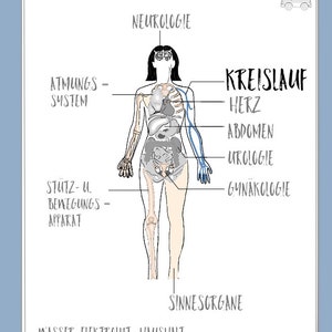 Circulatory system, flashcard set (DIN A4)