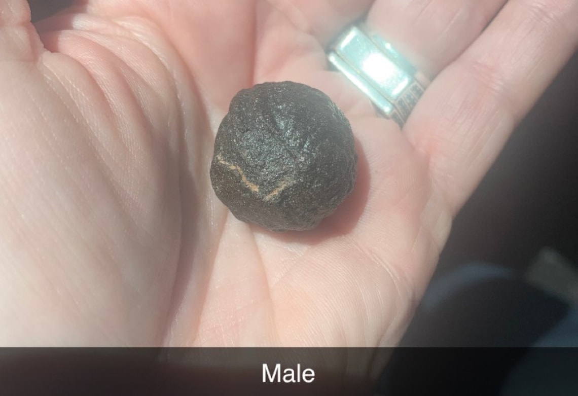 Shaman Moqui Balls/Marbles. Set of Male & Female Etsy