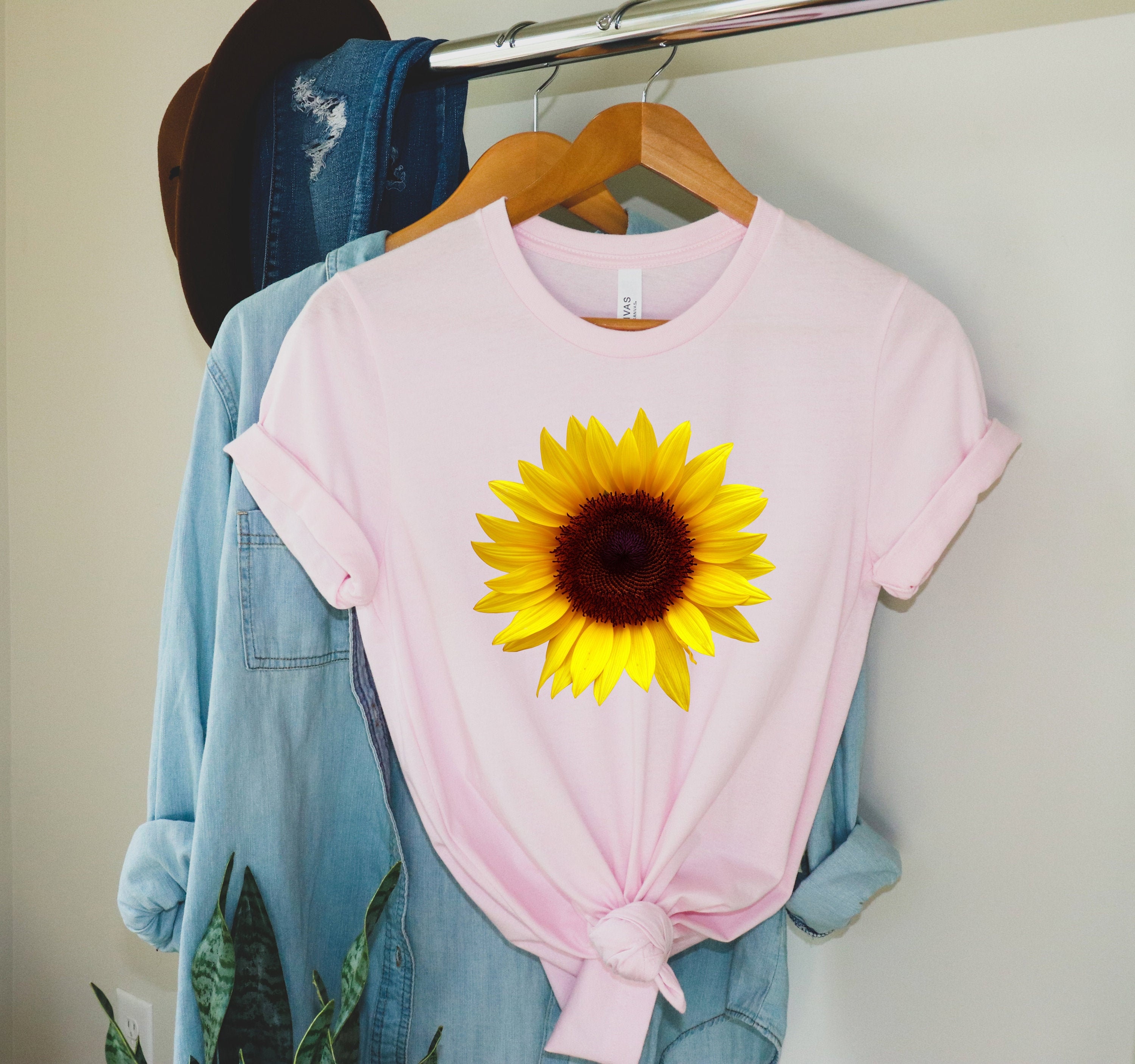 tournesol, graines de tournesol, méler de fleurs, rayon de tournesol, amoureux des fleurs, fleurs coupées, pétales, tournesol commun, huile de tournes