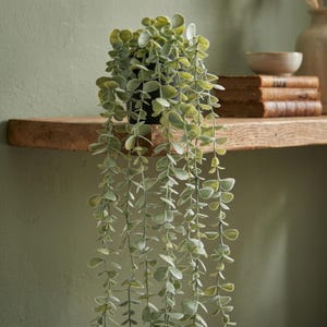 Hanging Fake Eucalyptus Plant in Pot | Artificial Trailing Vine | Boho Farmhouse Shelf Decor | Faux Indoor Potted Greenery for Bathroom