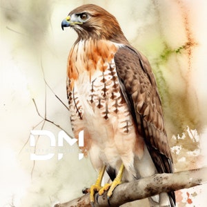 Red Tailed Hawk | Bird | Watercolor | Gift For Her | For Him | Mom | Nature | Cottage | Wall Art | Home Decor | Original Art | Bird of Prey