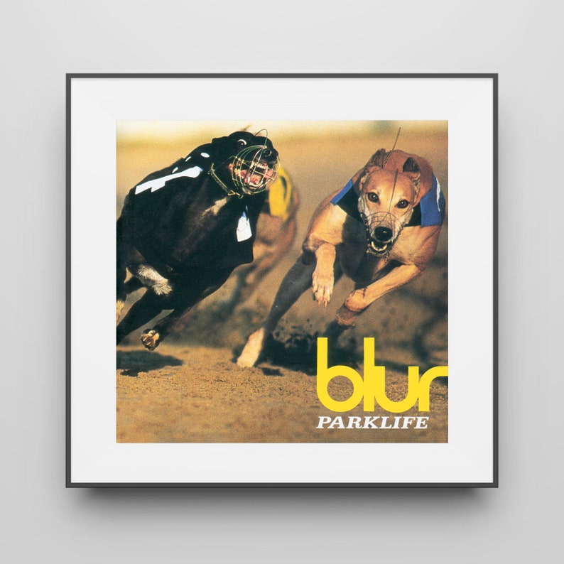parklife album cover parklife album cover