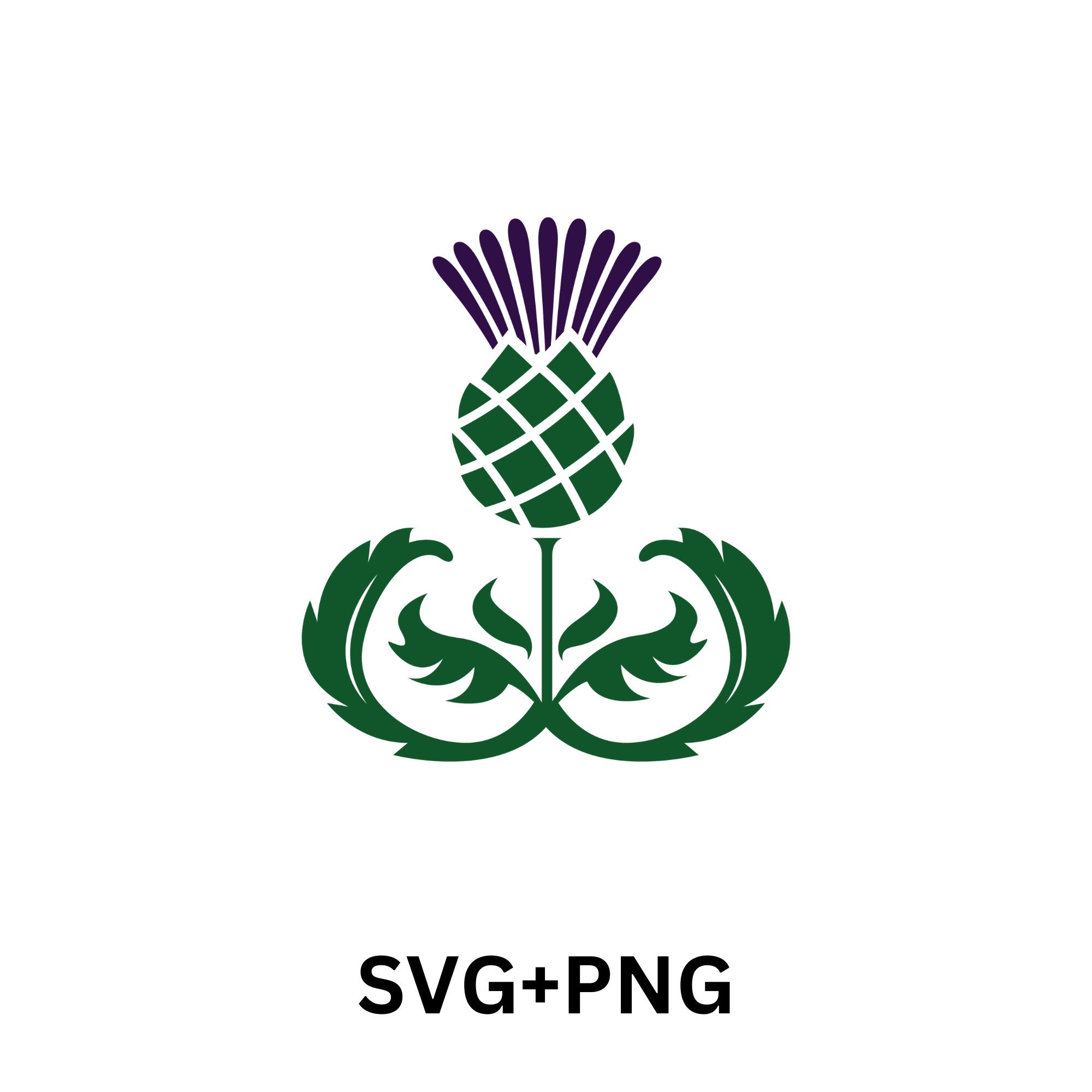 Scottish Thistle Digital SVG Printable Cut File Scottish Etsy Australia
