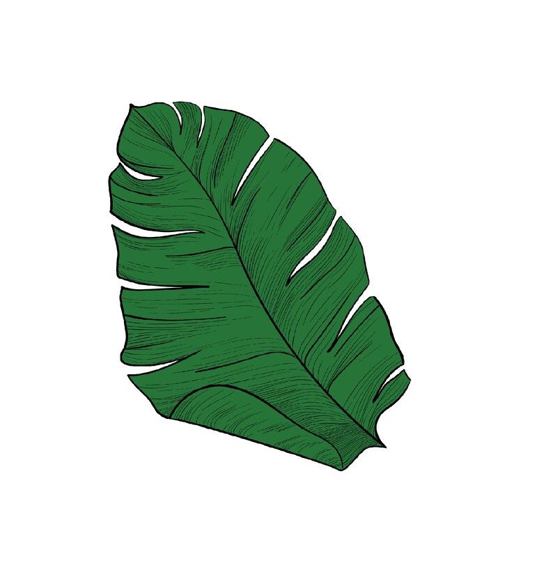 Monstera Blatt SVG tropische Blätter SVG Silhouette - Etsy.de