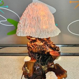 Vintage Rare Mushroom Lamp, 1970s, Wood, Fairy, Garden, Retro, Table light, Lamp